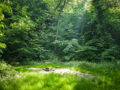 Hvor må man overnatte i naturen?